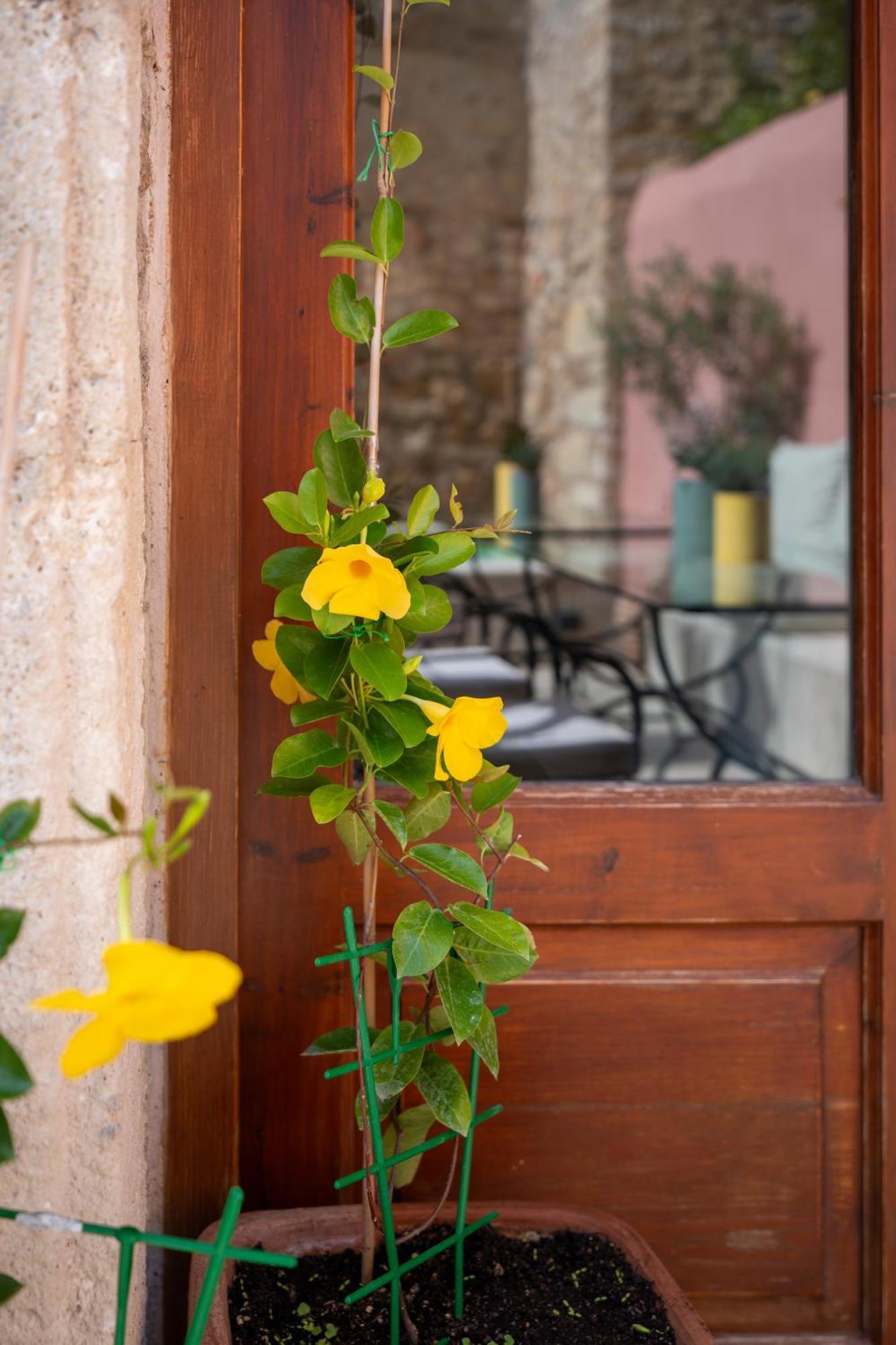 Phaedra Suites (Adults Only) Rethimnon Buitenkant foto